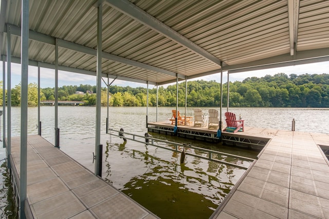 dock area with a water view