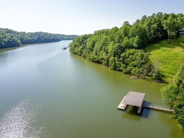 exterior space with a boat dock