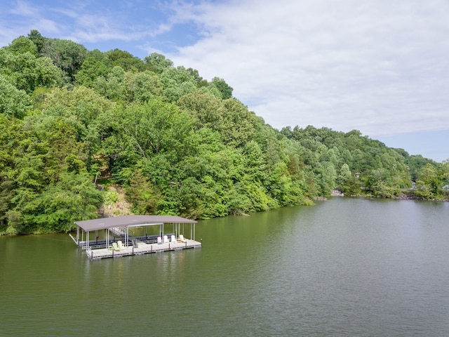 view of dock with a water view