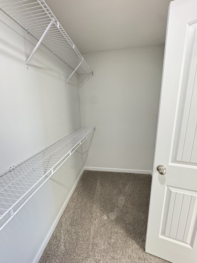 spacious closet with carpet floors