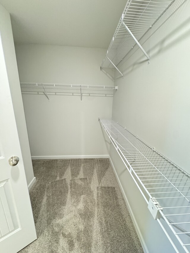 spacious closet with carpet floors