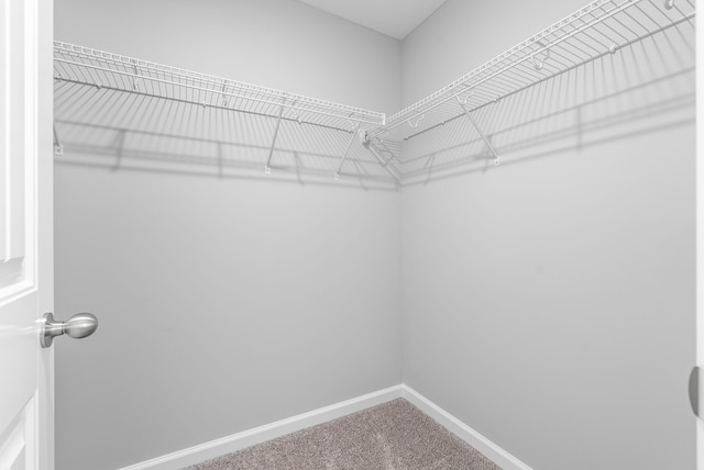 spacious closet with carpet flooring