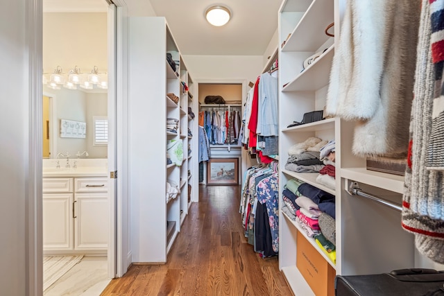 walk in closet with sink and light wood-type flooring