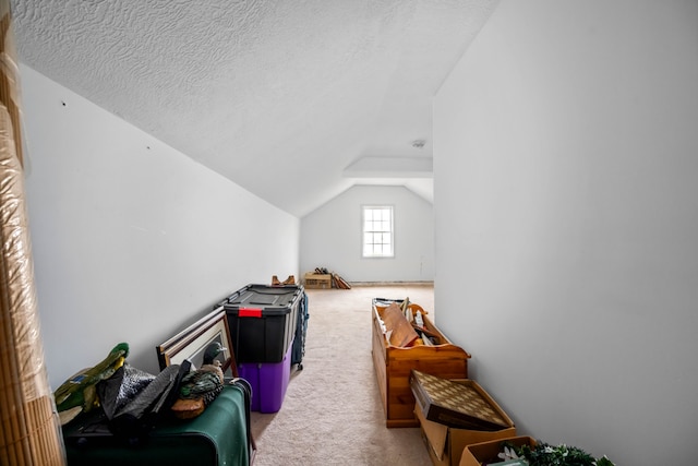 interior space with lofted ceiling, a textured ceiling, and light carpet