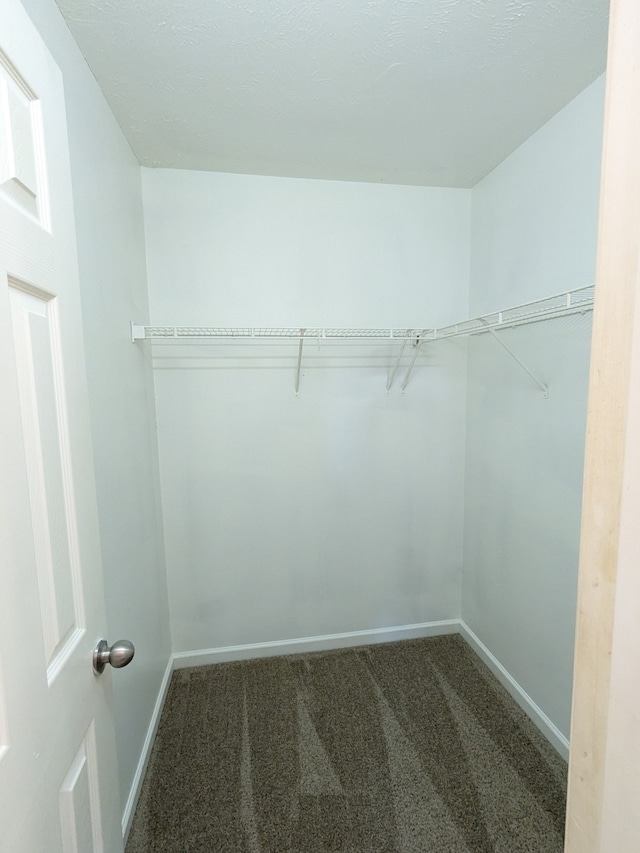 walk in closet featuring carpet