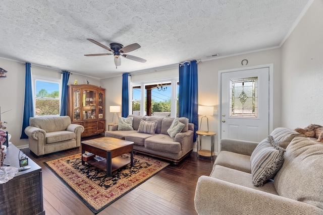 living room with crown molding, dark wood-type flooring, ceiling fan, and a textured ceiling