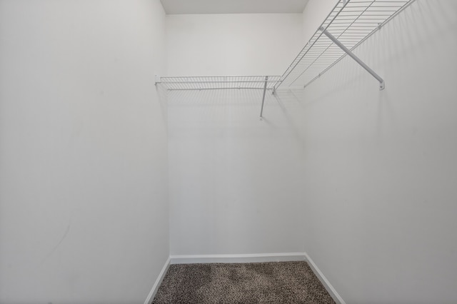 walk in closet featuring carpet