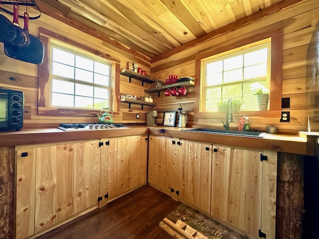 kitchen featuring light brown cabinetry, a healthy amount of sunlight, dark hardwood / wood-style flooring, and sink