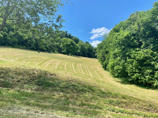 view of yard featuring a rural view