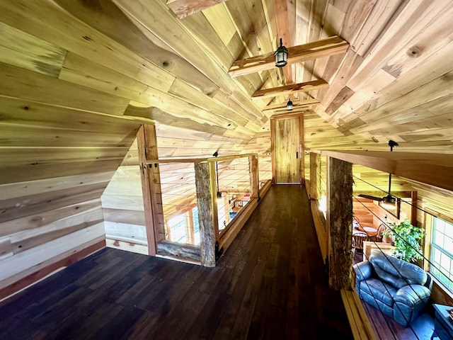 hall with dark hardwood / wood-style flooring, wood walls, and plenty of natural light