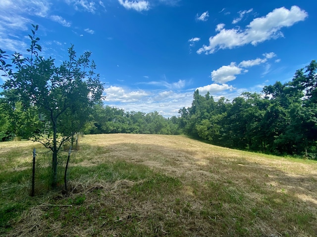 view of local wilderness