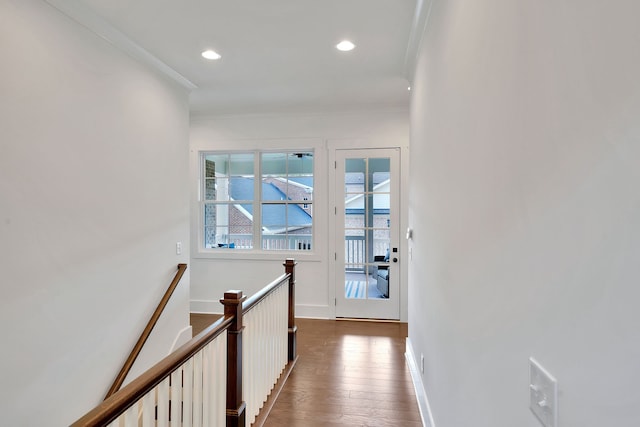 hall featuring crown molding and dark wood-type flooring