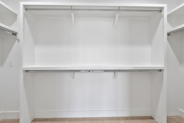 spacious closet featuring light carpet