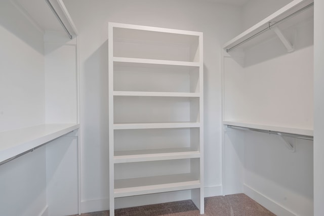 walk in closet with carpet floors