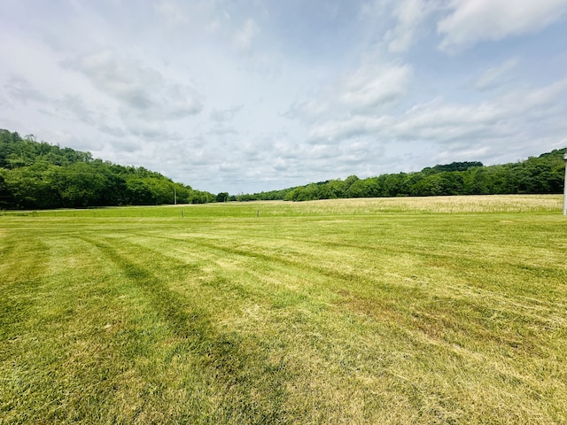 view of yard with a rural view