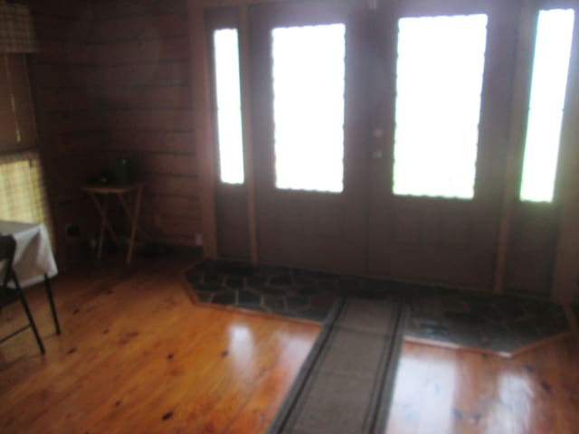 entrance foyer featuring a wealth of natural light and wood-type flooring