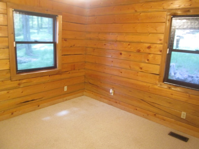 spare room with wood walls and carpet floors