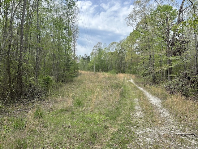 1848 Kirk Trl, Holladay TN, 38341 land for sale