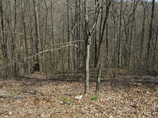 0 Hunter S Landing Ln, Smithville TN, 37166 land for sale