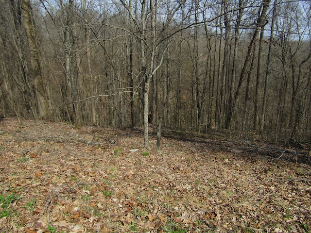 Listing photo 3 for 0 Hunter S Landing Ln, Smithville TN 37166