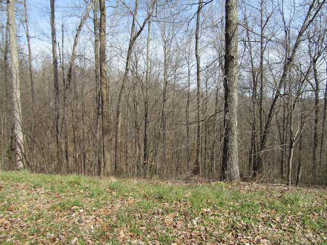 Listing photo 2 for 0 Hunter S Landing Ln, Smithville TN 37166