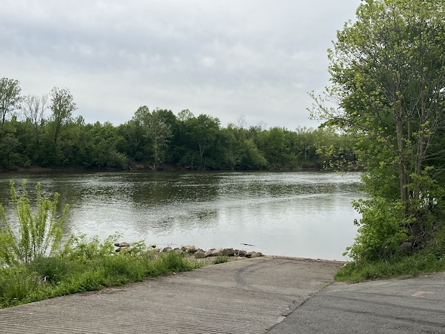 water view featuring a view of trees