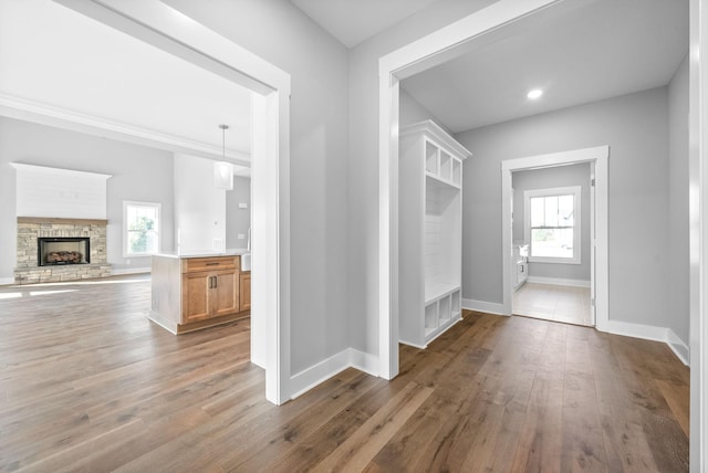 mudroom featuring baseboards, a healthy amount of sunlight, wood finished floors, and a fireplace