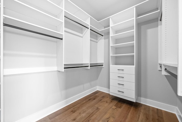 spacious closet featuring dark wood-type flooring