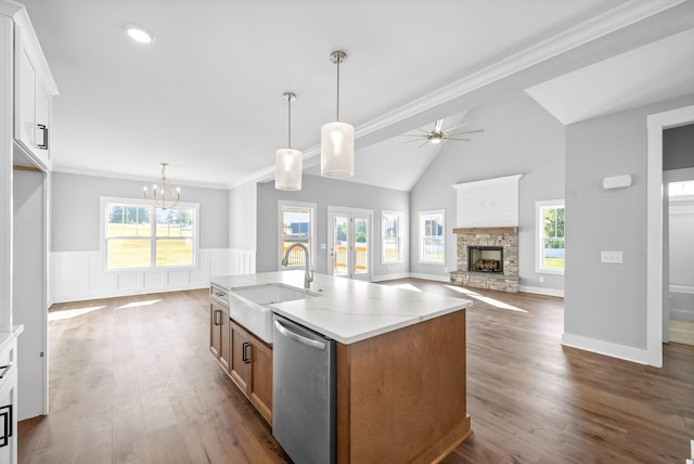 kitchen with a sink, plenty of natural light, a fireplace, and stainless steel dishwasher