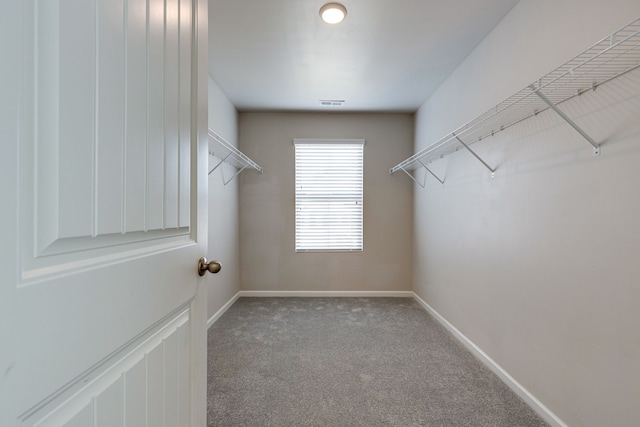 walk in closet featuring light carpet