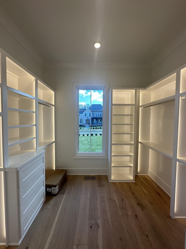 walk in closet with dark wood-type flooring