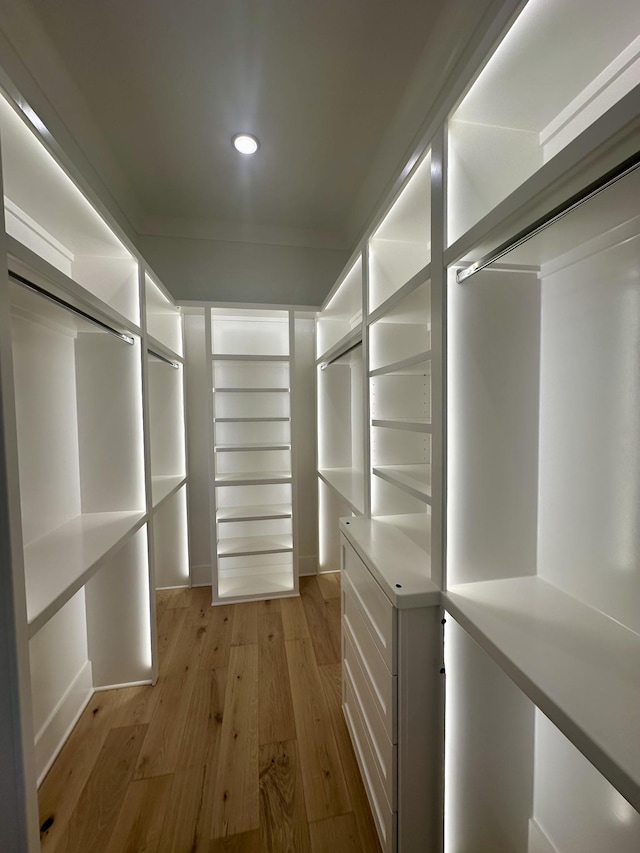 spacious closet featuring light hardwood / wood-style flooring