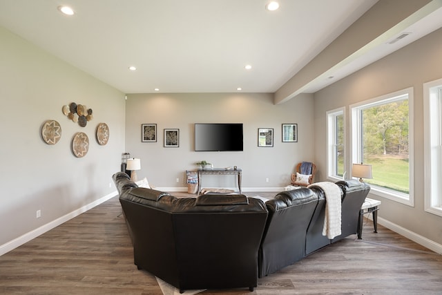 living room with a wealth of natural light and dark wood-type flooring