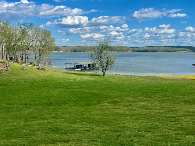 water view featuring a boat dock