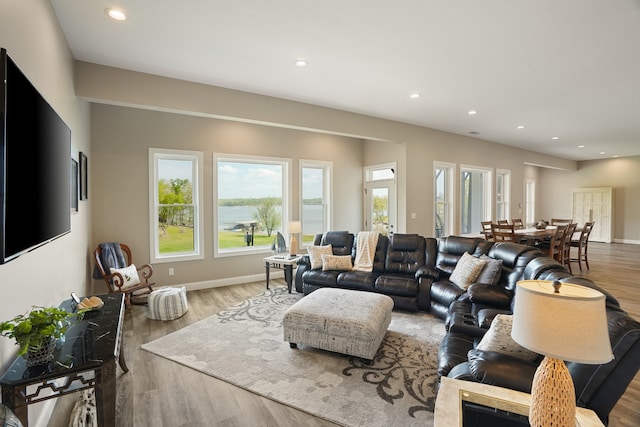 living room featuring a wealth of natural light and light hardwood / wood-style floors