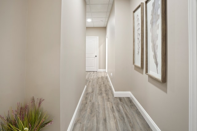 hallway featuring light hardwood / wood-style flooring and a drop ceiling