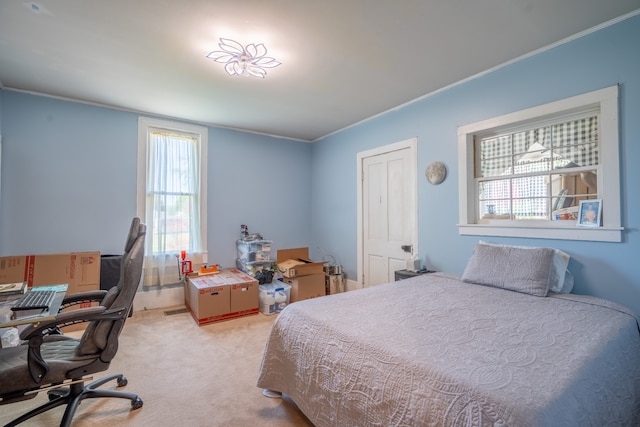 carpeted bedroom with multiple windows and crown molding