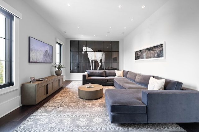 living room featuring hardwood / wood-style floors