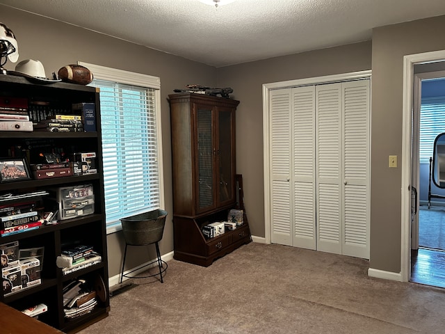 interior space featuring baseboards, a textured ceiling, and carpet