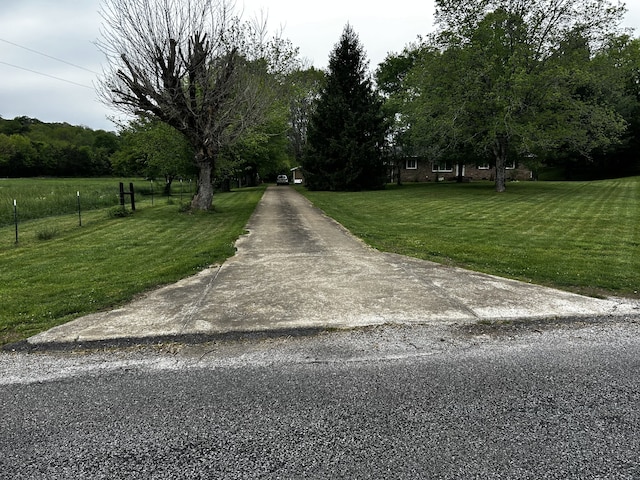 view of street with driveway