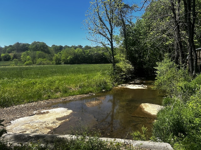 water view with a view of trees