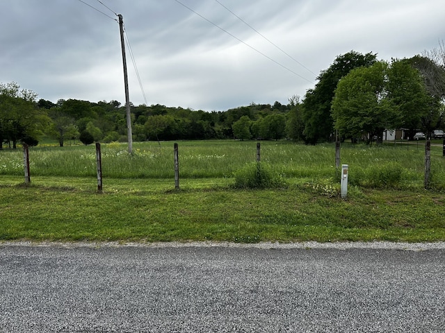 view of yard with a rural view