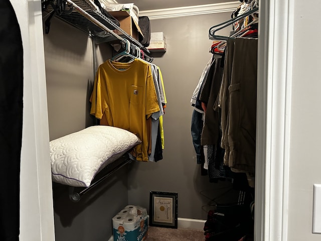 view of walk in closet