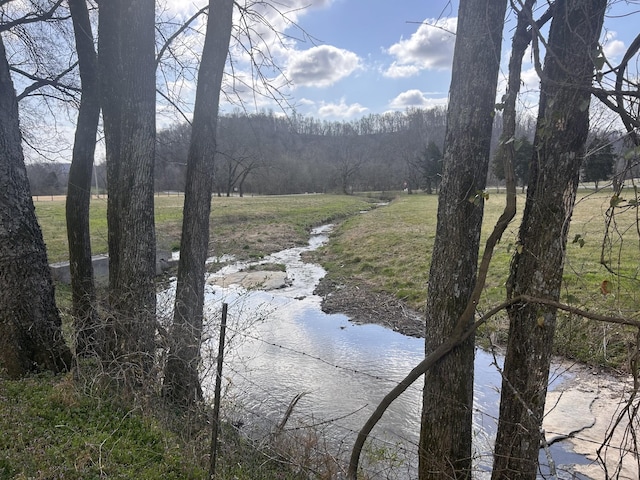 view of water feature featuring a wooded view