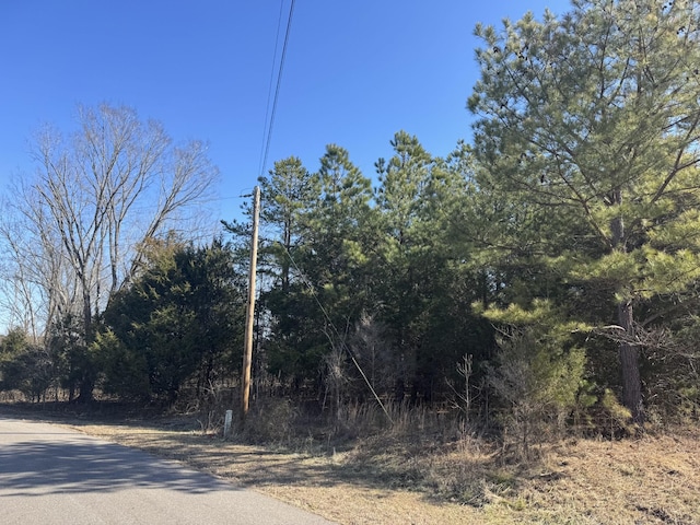 Listing photo 3 for 1239 Golf Dr Lot # Nn1240 N1241, Saulsbury TN 38067