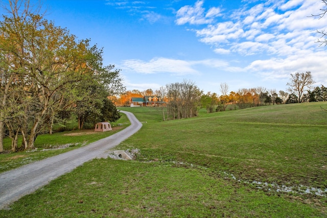 surrounding community featuring a yard