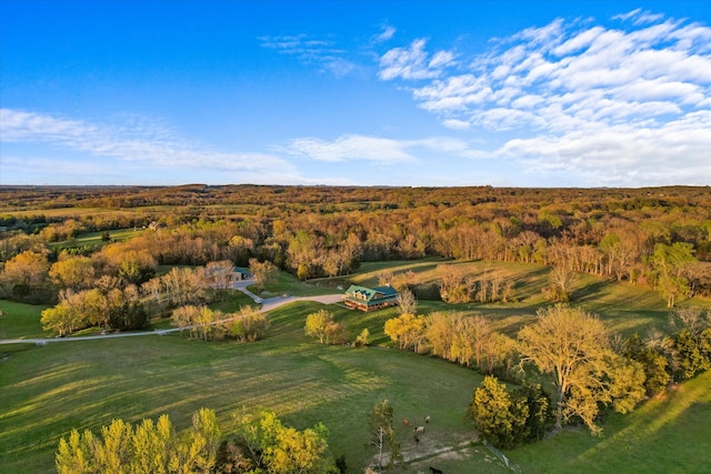 view of birds eye view of property