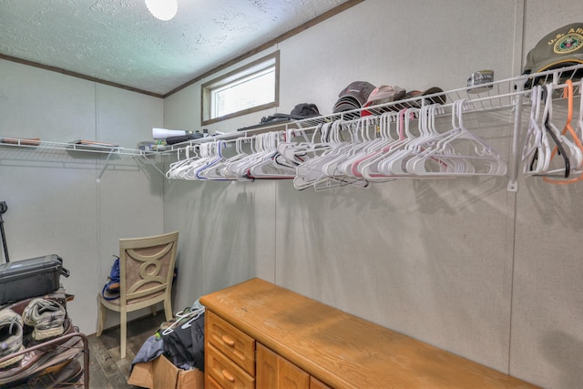 5077 Southpoint Ridge Rd, Hampshire, TN 38461 - view of spacious closet