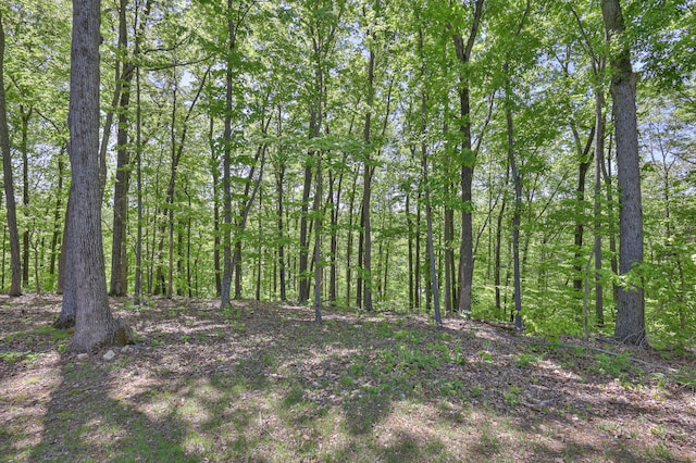 5077 Southpoint Ridge Rd, Hampshire, TN 38461 - view of local wilderness