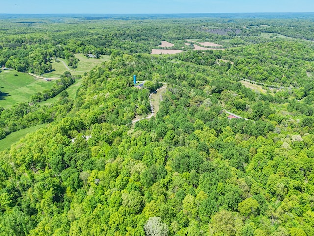 5077 Southpoint Ridge Rd, Hampshire, TN 38461 - view of drone / aerial view
